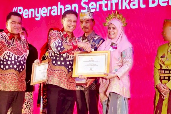 Hebat! Wabup Suhartina Bohari Terima Penghargaan Sertifikat Bebas Frambusia dari Kemenkes RI