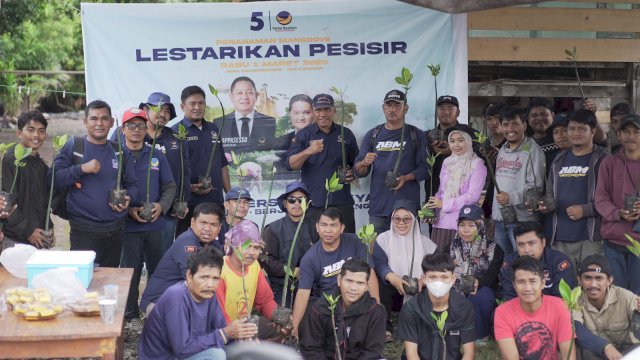 DPD NasDem Luwu Melaksanakan Penanaman Pohon Mangrove.