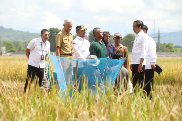 Usai Panen Bersama Presiden, Mentan SYL Canangkan Percepatan Tanam