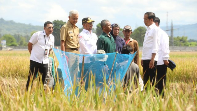 Menteri Pertanian Syahrul Yasin Limpo Dampingi Presiden Joko Widodo Memulai Panen Raya di Kabupaten Kebumen.