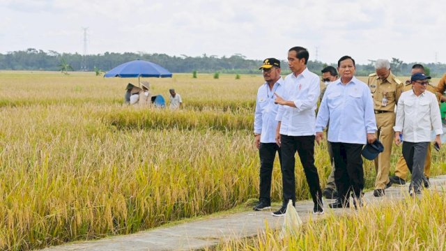 Menteri Pertanian Syahrul Yasin Limpo Dampingi Presiden Joko Widodo Memulai Panen Raya di Kabupaten Kebumen.