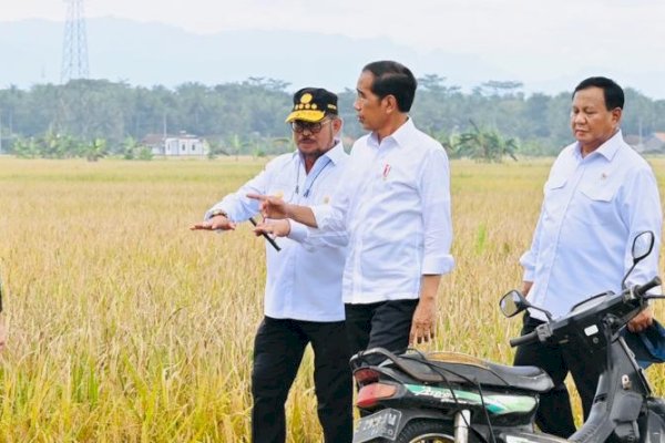 Mentan SYL Dampingi Presiden Memulai Panen Raya Nusantara Dari Kebumen
