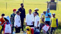 Panen Padi Didampingi Mentan SYL, Presiden Jokowi Senang Produktivitas Tinggi