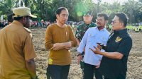 Jokowi di Papua, Kick Off Food Estate Siapkan Lahan Jagung 10 Ribu Hektare