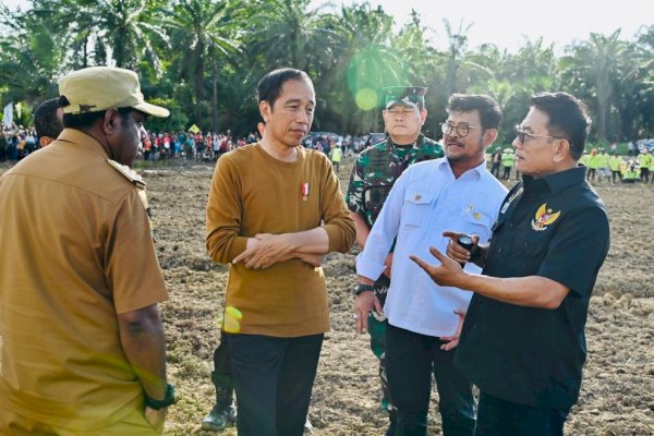 Jokowi di Papua, Kick Off Food Estate Siapkan Lahan Jagung 10 Ribu Hektare