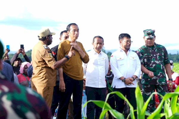 Optimalkan Lahan Tidur, Kementan Siapkan Keerom Jadi Sentra Komoditas Jagung Nasional