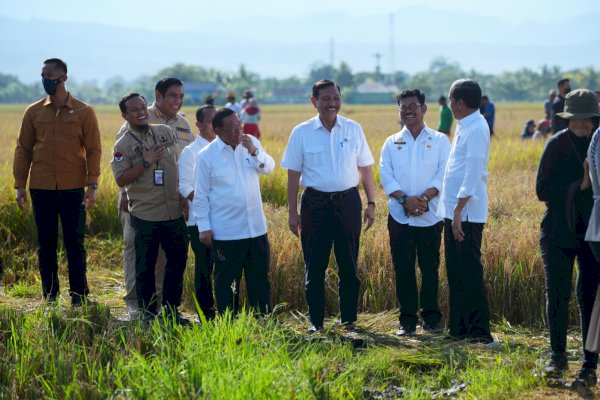 Sulawesi Selatan Surplus Beras, Jokowi: Segera Distribusikan Ke Wilayah Lain