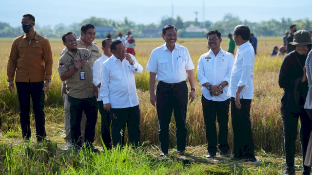 Sulawesi Selatan Surplus Beras, Jokowi: Segera Distribusikan Ke Wilayah Lain