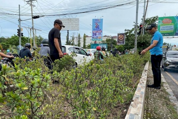 Andi Salman Maksimalkan Pembenahan-Pemeliharaan Median Tengah Jalan Perintis Kemerdekaan