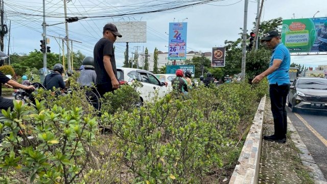 Andi Salman Maksimalkan Pembenahan-Pemeliharaan Median Tengah Jalan Perintis Kemerdekaan