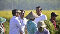 Di Ngawi, Presiden Jokowi Didampingi Mentan SYL Panen Raya Padi