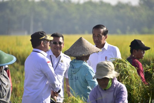 Di Ngawi, Presiden Jokowi Didampingi Mentan SYL Panen Raya Padi