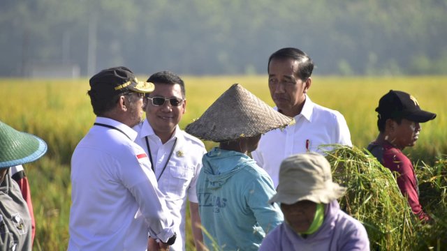 Presiden Jokowi Didampingi Mentan SYL Panen Raya Padi.