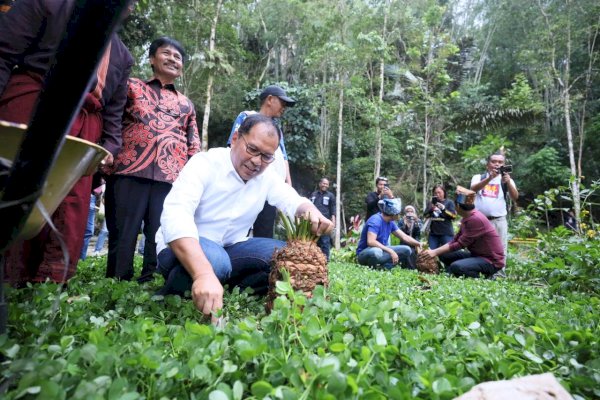 Danny Pomanto dan Tokoh Masyarakat Toraja Tanam Pohon di Wisata Sa&#8217;pak Bayo-bayo Sangalla&#8217;