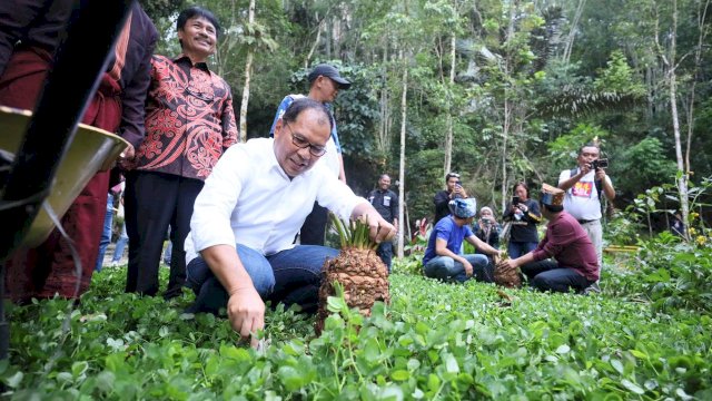 Danny Pomanto dan Tokoh Masyarakat Toraja Tanam Pohon di Wisata Sa’pak Bayo-bayo Sangalla’