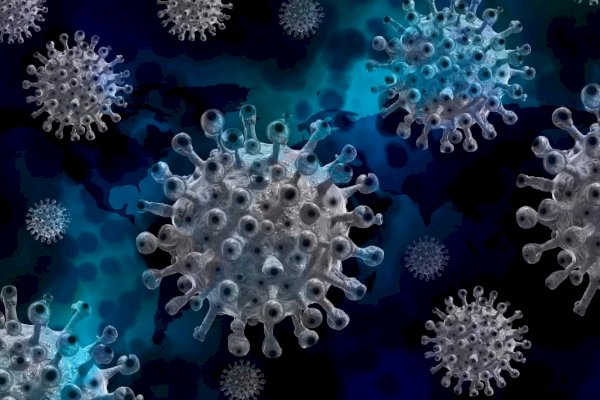 Tetap Waspada! WHO : Varian Arcturus Sudah Menyebar di 22 Negara