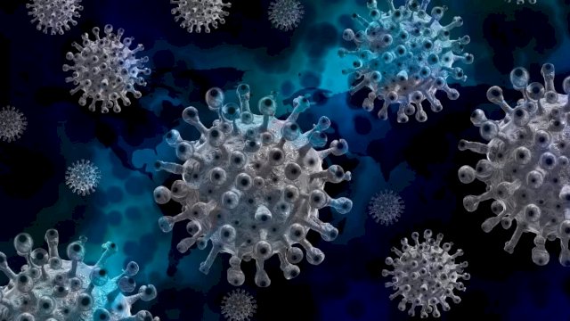 Tetap Waspada! WHO : Varian Arcturus Sudah Menyebar di 22 Negara