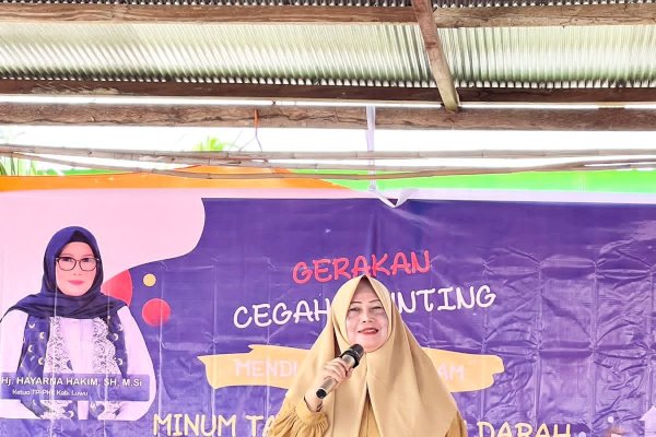 Hayarna Apresiasi Antusias Masyarakat Ponsel Cegah Stunting di Luwu