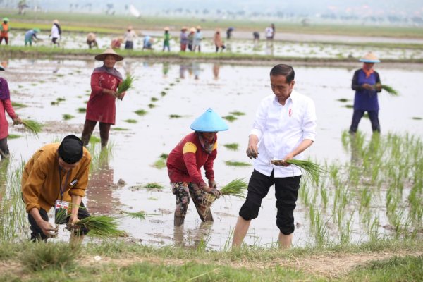 Presiden Senang Petani Tuban Gunakan Pupuk Organik, Mentan SYL: Kita Siap Memperluasnya ke Seluruh Daerah