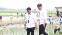 Presiden Jokowi didampingi Mentan SYL Lakukan Percepatan Tanam Padi di Tuban
