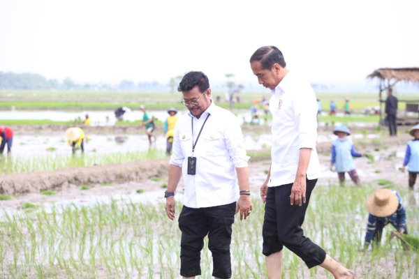 Presiden Jokowi didampingi Mentan SYL Lakukan Percepatan Tanam Padi di Tuban