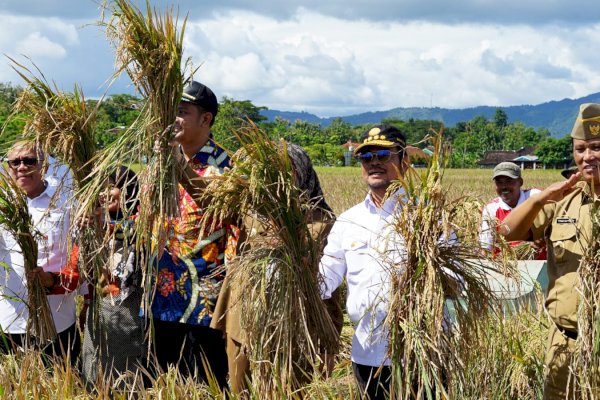 Mentan SYL Bersyukur Kabupaten Klaten Panen Padi IP400, Segera Perluas Ke Daerah Lain