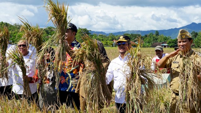 Mentan SYL Bersyukur Kabupaten Klaten Panen Padi IP400, Segera Perluas Ke Daerah Lain