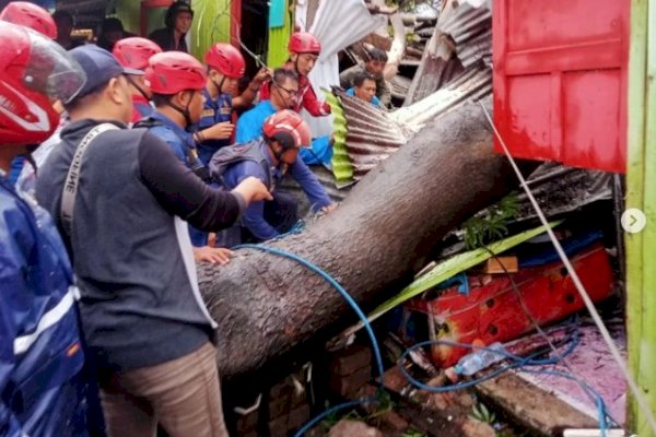 Damkar Makassar Gerak Cepat Tangganu Pohon Tumbang di Al Markas