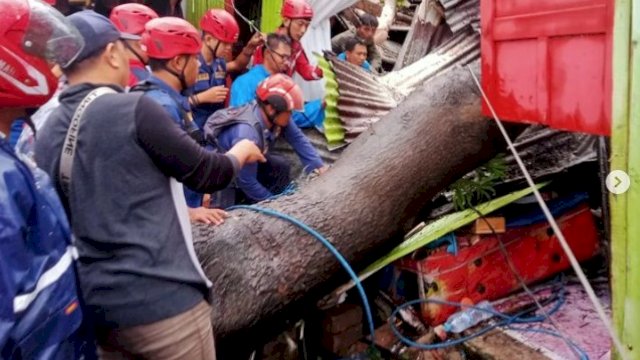 Damkar Makassar Gerak Cepat Tangganu Pohon Tumbang di Al Markas