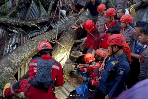 Damkar Makassar Gerak Cepat Evakuasi warga yang Tertimpa Pohon