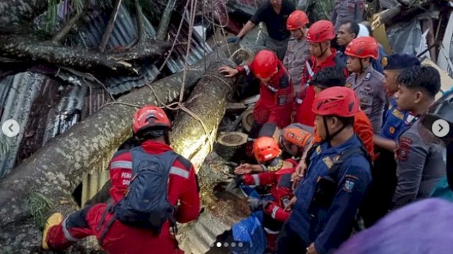 Damkar Makassar Gerak Cepat Evakuasi warga yang Tertimpa Pohon