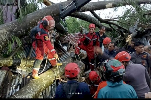 Ini Potret Perjuangan Damkar Makassar saat Evakuasi Warga yang Tertimpa Pohon