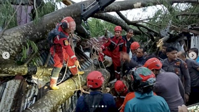 Ini Potret Perjuangan Damkar Makassar saat Evakuasi Warga yang Tertimpa Pohon