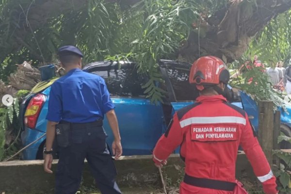 Potret Petugas Damkar Makassar saat Pemotongan Pohon di Gowa