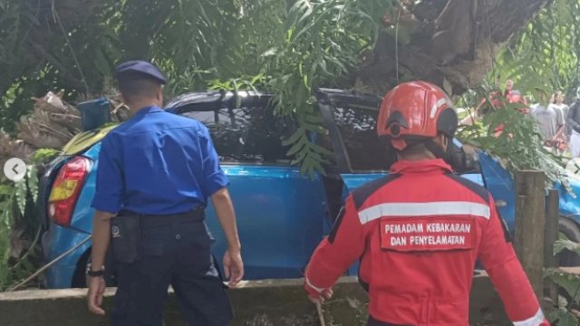 Potret Petugas Damkar Makassar saat Pemotongan Pohon di Gowa