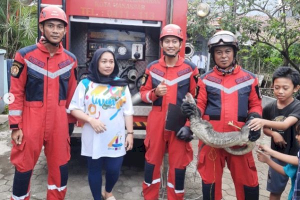 Damkar Makassar Evakuasi Biawak yang Masuk ke Rumah Warga