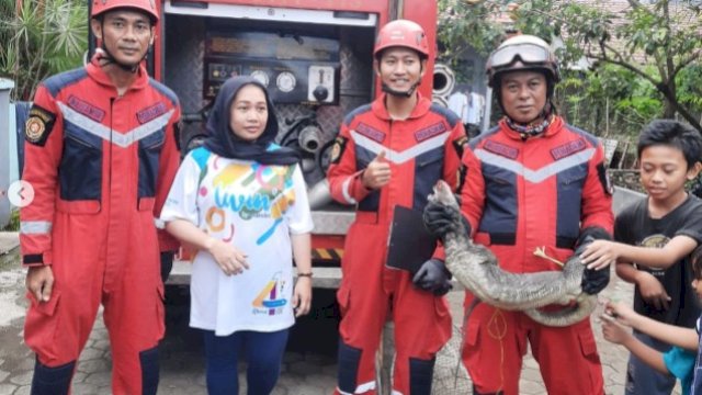 Damkar Makassar Evakuasi Biawak yang Masuk ke Rumah Warga