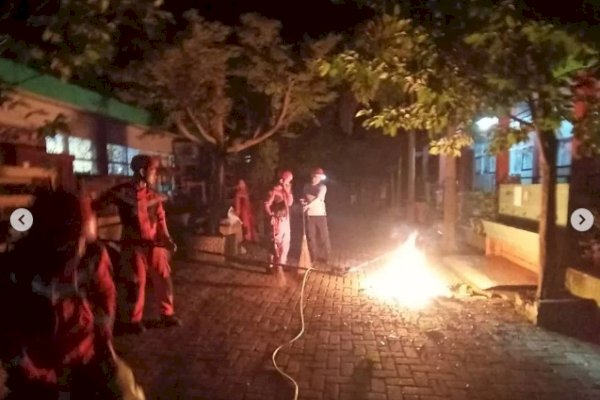 Damkar Makassar Evakuasi Tawon Vespa di Jalan Ratulangi