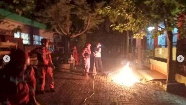 Damkar Makassar Evakuasi Tawon Vespa di Jalan Ratulangi