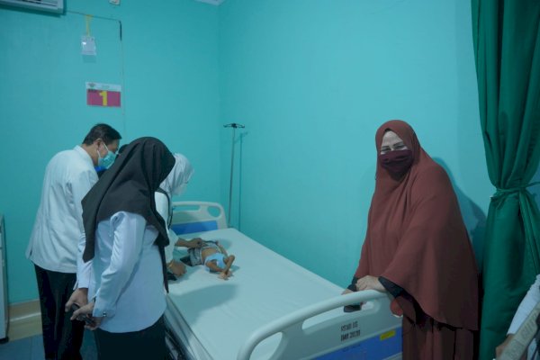 Terima Laporan, Hayarna Jemput Rujuk Anak Gizi Buruk di Luwu