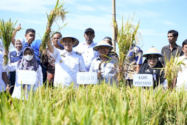 Bupati Pangkep Yusran Dukung Program Panen Padi Nusantara