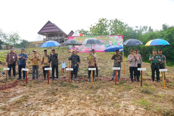 Wajo Kembali Produksi Kokon Setelah 20 Tahun, Bupati Amran: Terima Kasih Pak Gubernur