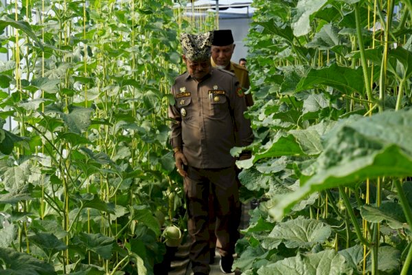 Kemendagri Sebut Pertanian Jadi Mata Pencaharian Masyarakat Indonesia, Berkontribusi Hingga 2 ribu Triliun