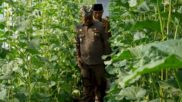 Kemendagri Sebut Pertanian Jadi Mata Pencaharian Masyarakat Indonesia, Berkontribusi Hingga 2 ribu Triliun