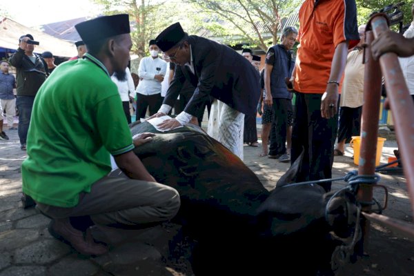 Danny Pomanto Saksikan Pemotongan Hewan Kurban dan Gelar Open House