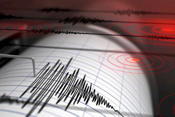 Gempa Magnitudo 5,1 Guncang Wilayah Tanimbar Maluku