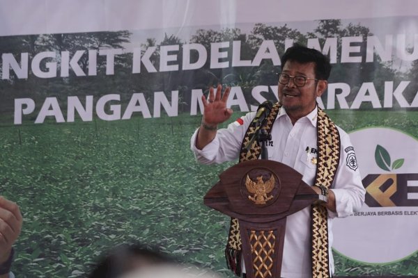 Kompak, Mentan SYL Tanam Kedelai di Tanggamus Bersama Gubernur dan Mendag