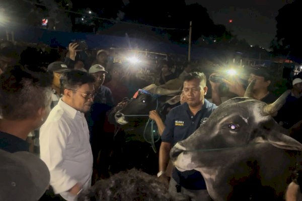 Percepat Izin Jual, Peternak Sapi Bima Sampaikan Terimakasih Ke Kementan