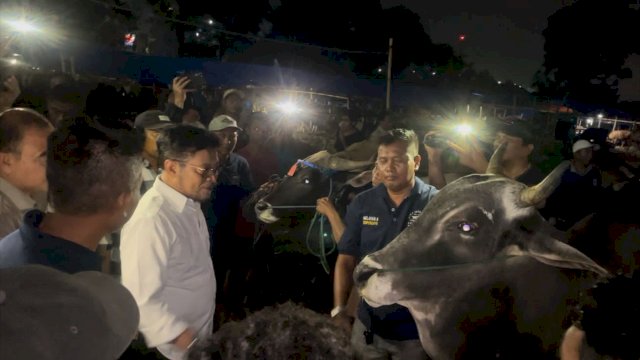 Percepat Izin Jual, Peternak Sapi Bima Sampaikan Terimakasih Ke Kementan