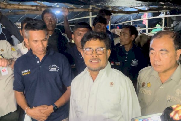 Pantau Ketersediaan Hewan Kurban di Bogor, Mentan Sebut Stok Nasional Jelang Idul Adha Aman